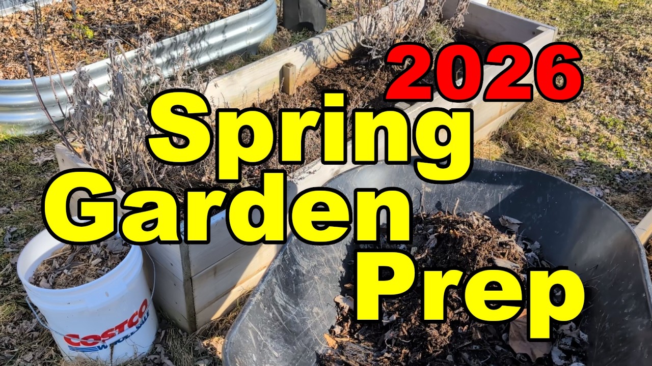 Spring Garden Prep 2026 | Zone 6A Garden Preparation