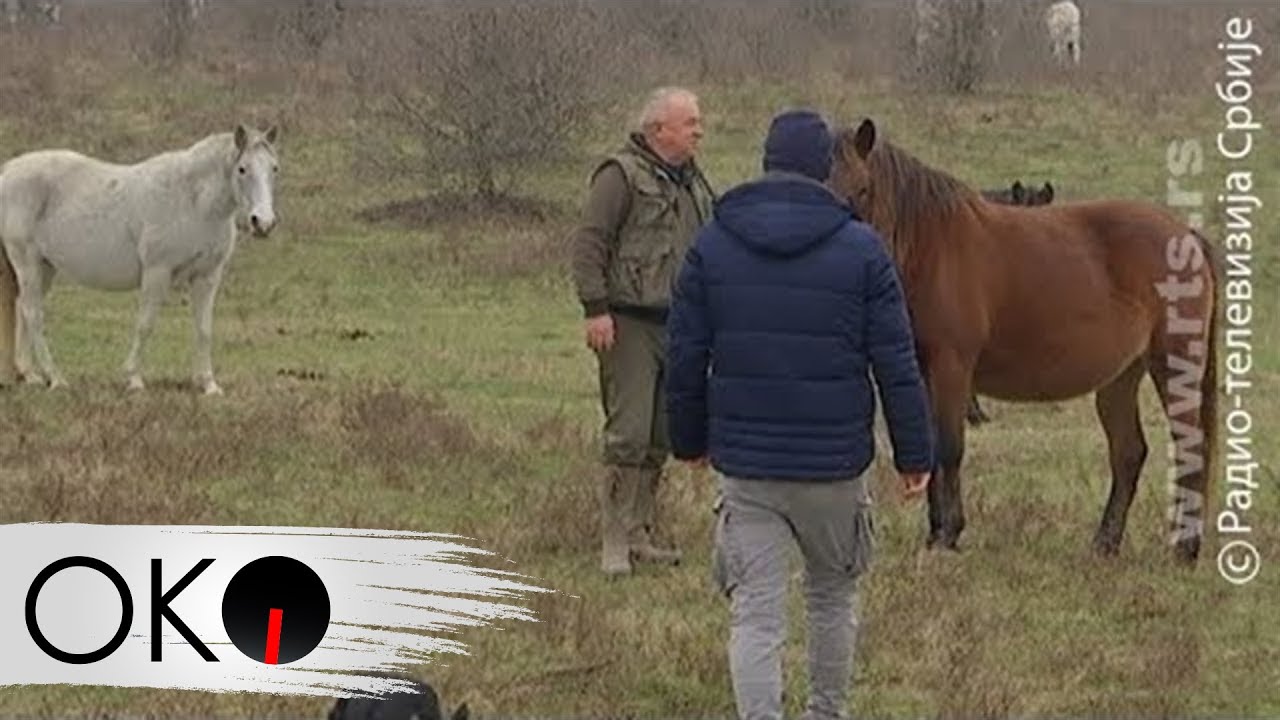 Oko Magazin: Zimski safari po Zasavici