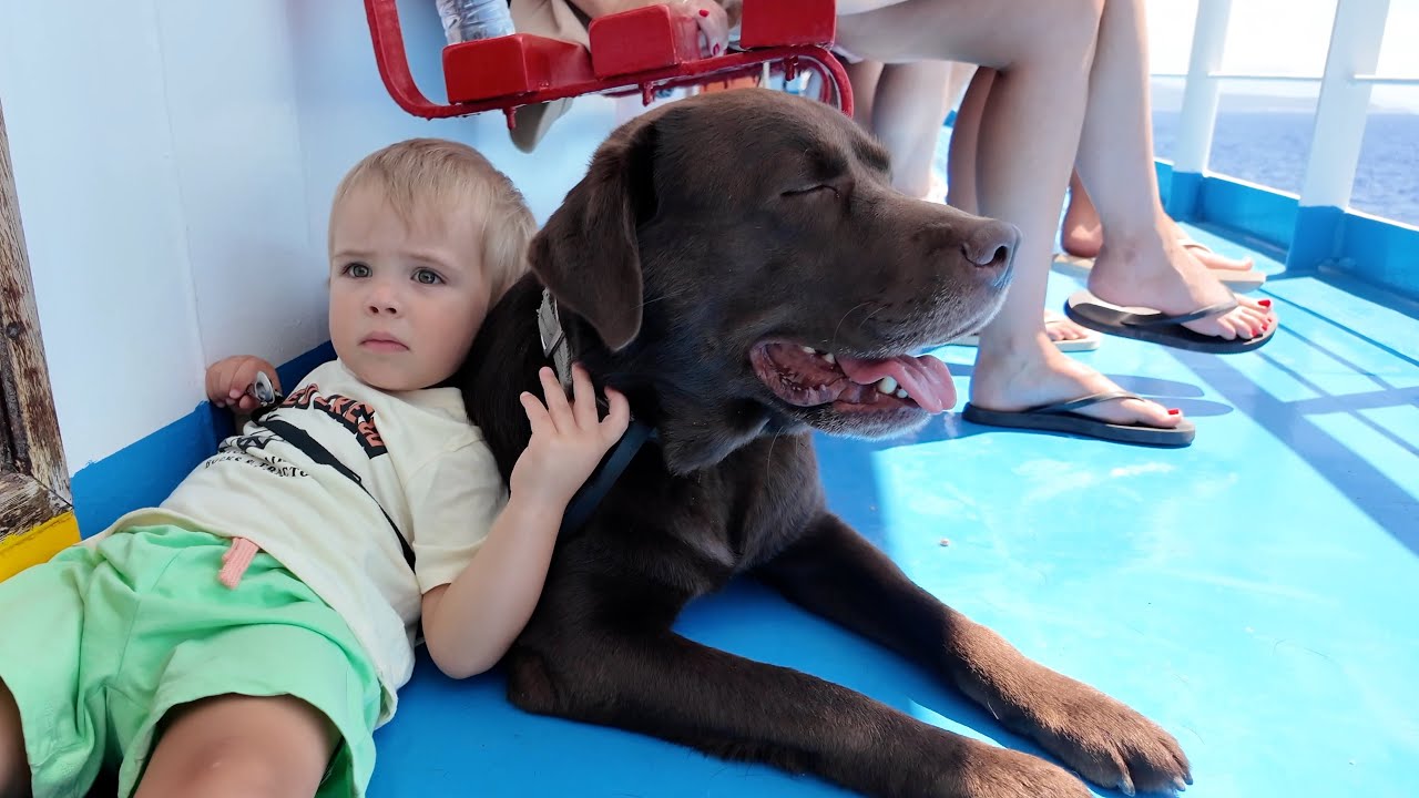 Toddler Feels Safe Behind His Furry Brother on the Boat
