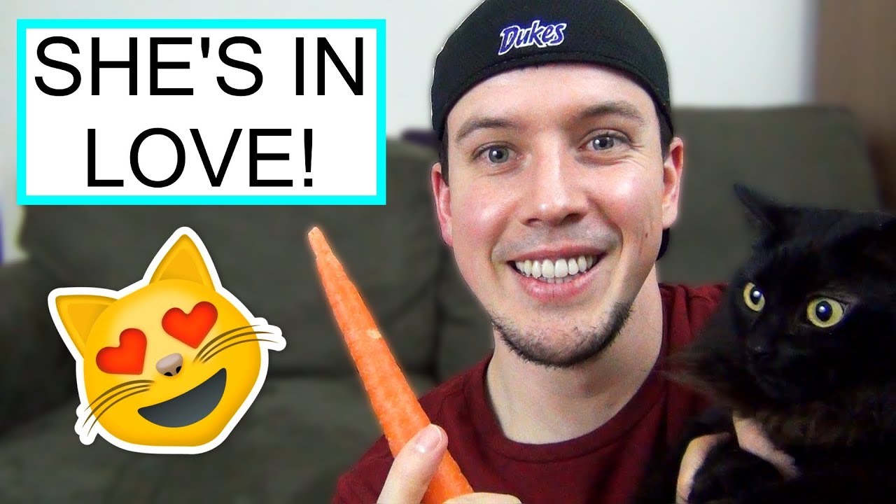 Snuggling Carrots? | Strange Things My Cats Do #1
