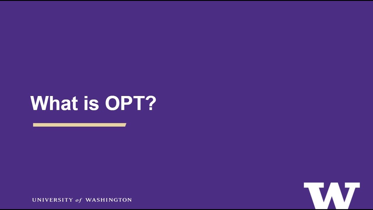 OPT Overview: What is OPT?