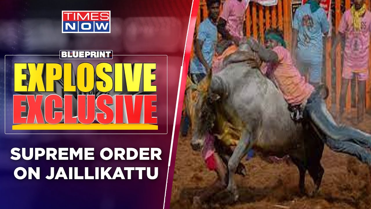 Supreme Court Upholds Jaillikattu In Tamil Nadu;  Why Politics Over Cultural Festival? | Blueprint
