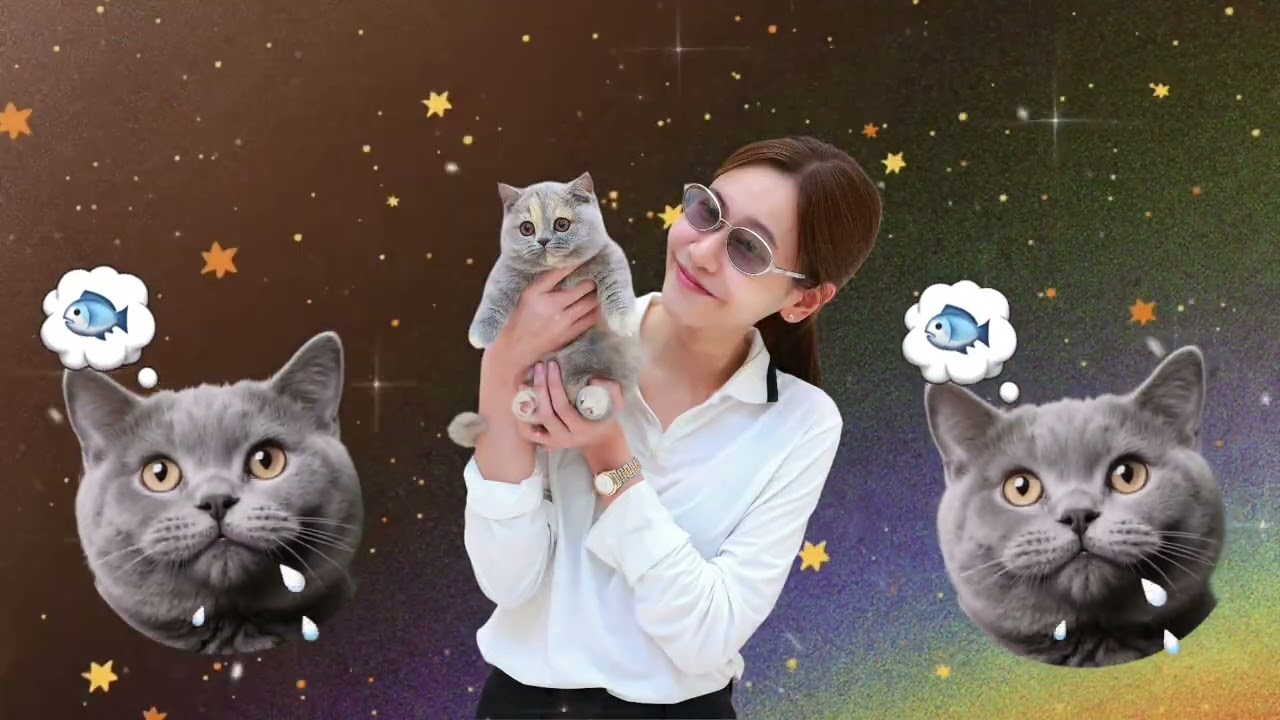😻🫧 Feline สัตว์ตระกูลแมว &mdash; Gentle temperament อุปนิสัย calm