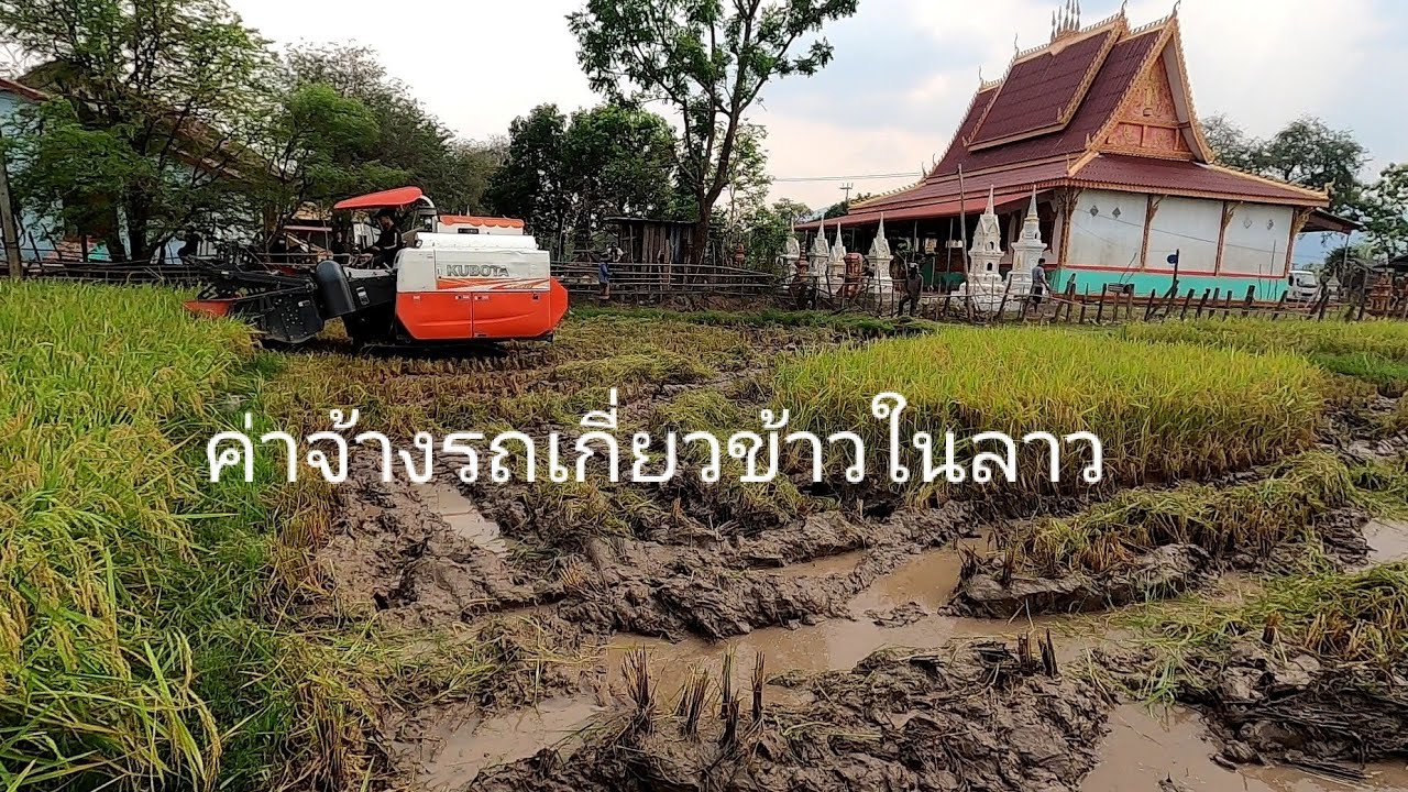 ค่าจ้างรถเกี่ยวข้าวในลาว (ຄ່າຈ້າງລົດກຽ່ວເຂົ້າໃນລາວ)