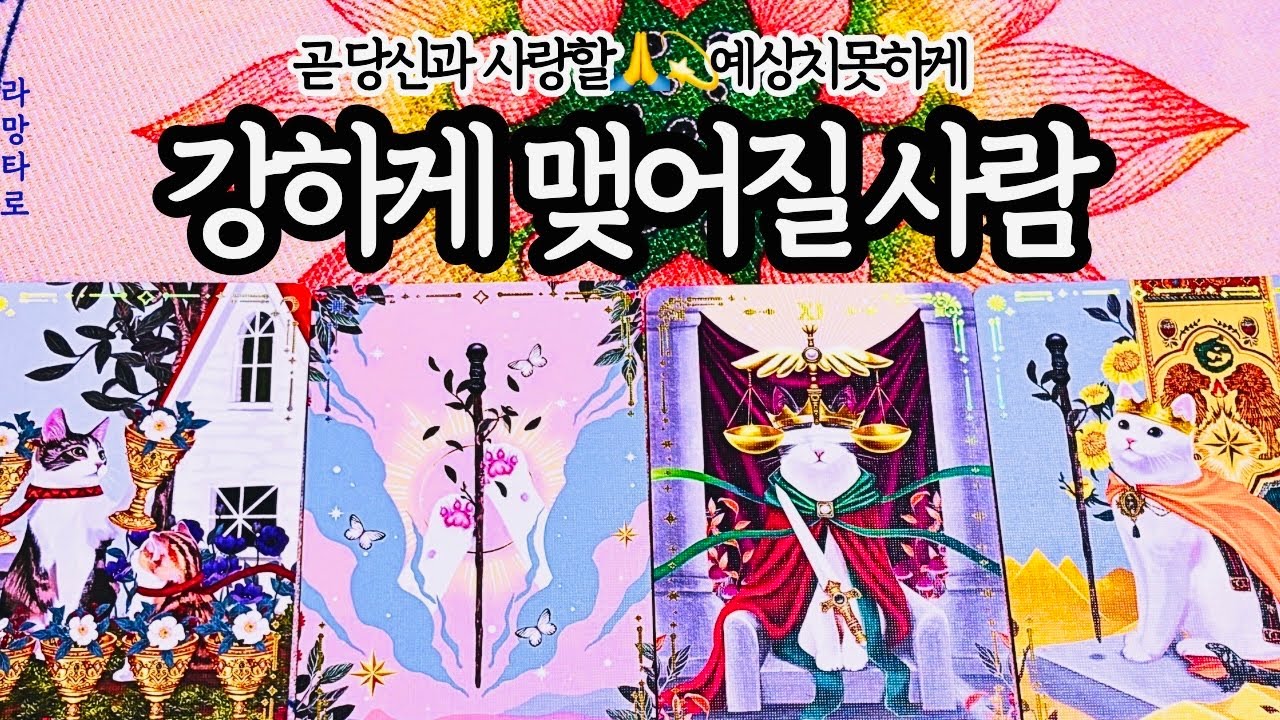 [타로/연애운]곧 강하게 연결될 그 사람💖외모,직업,관계,싱글,재회,커플,이미지,흐름,관계운,시기/관계상관🙅🏻Pick a card💟Tarot