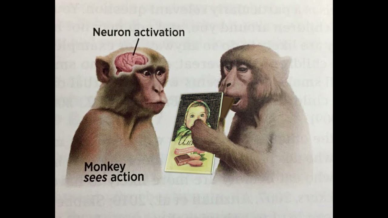 science diagrams that look like shitposts but with Rhythm Heaven music