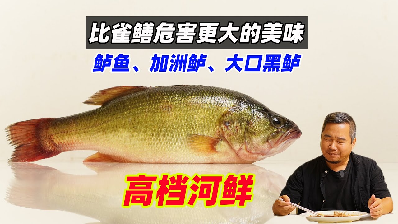 比雀鳝危害更大的美味，加州鲈大口黑鲈鱼，您了解这种高档河鲜吗