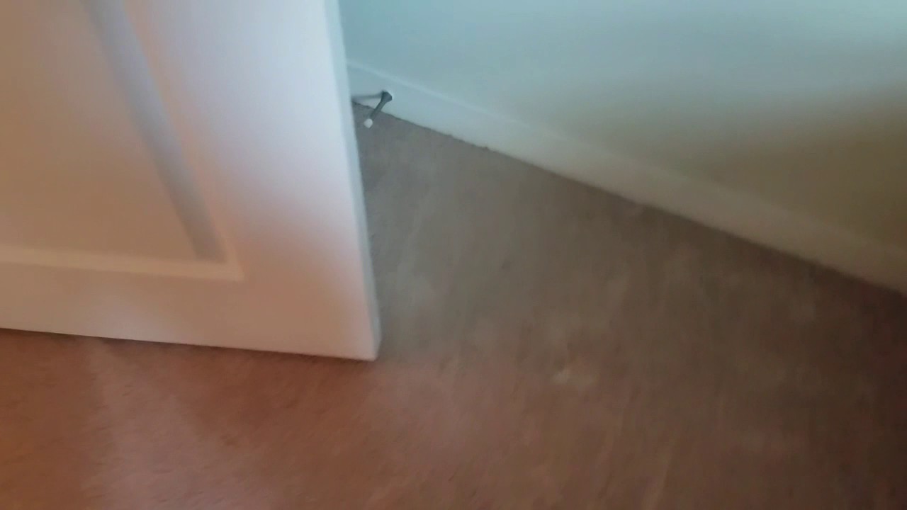 Austin high rise carpet cleaning in Austin Texas.