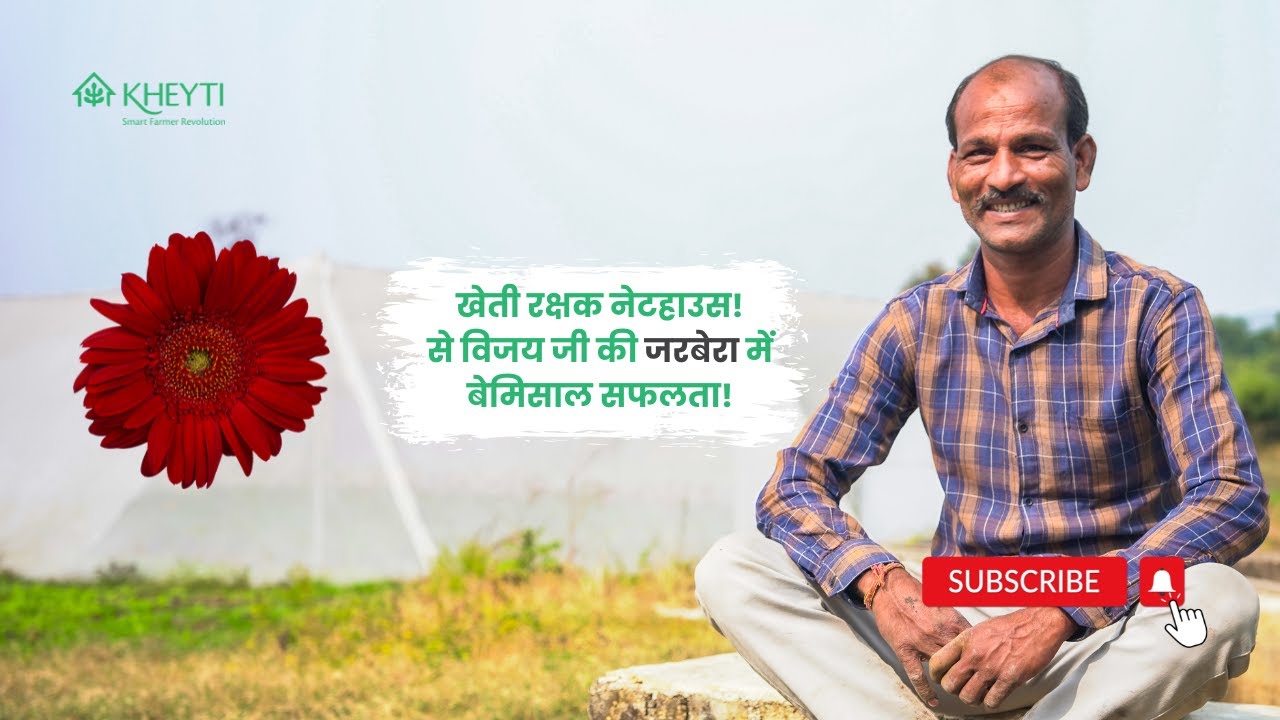 जानिए विजय जी की खेती रक्षक नेटहाउस के साथ जरबेरा फूल में सफलता की कहानी!
