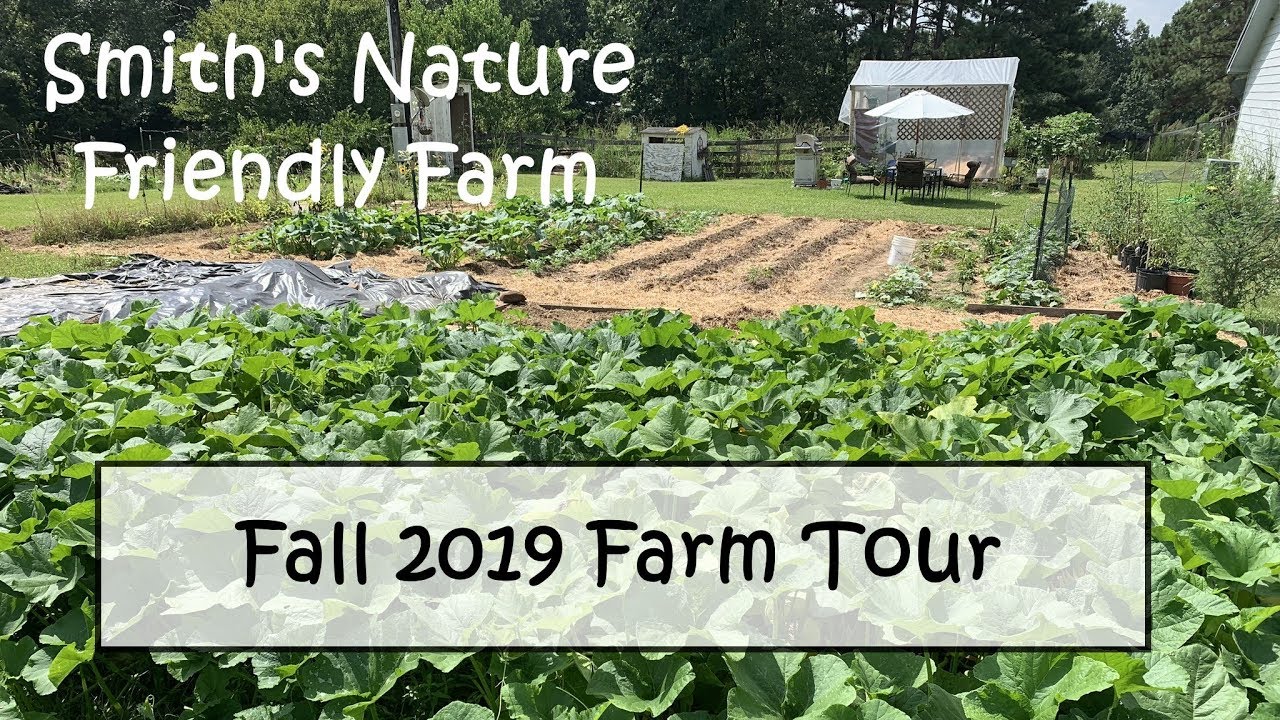 Fall 2019 Farm Tour - We give you a tour of the Smith 
