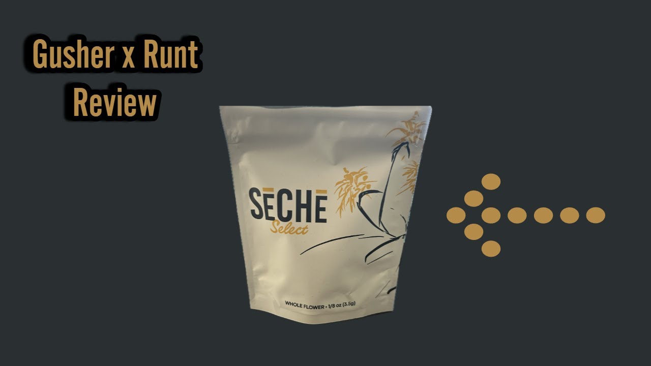 Gusher X Runtz: Seche Select Review