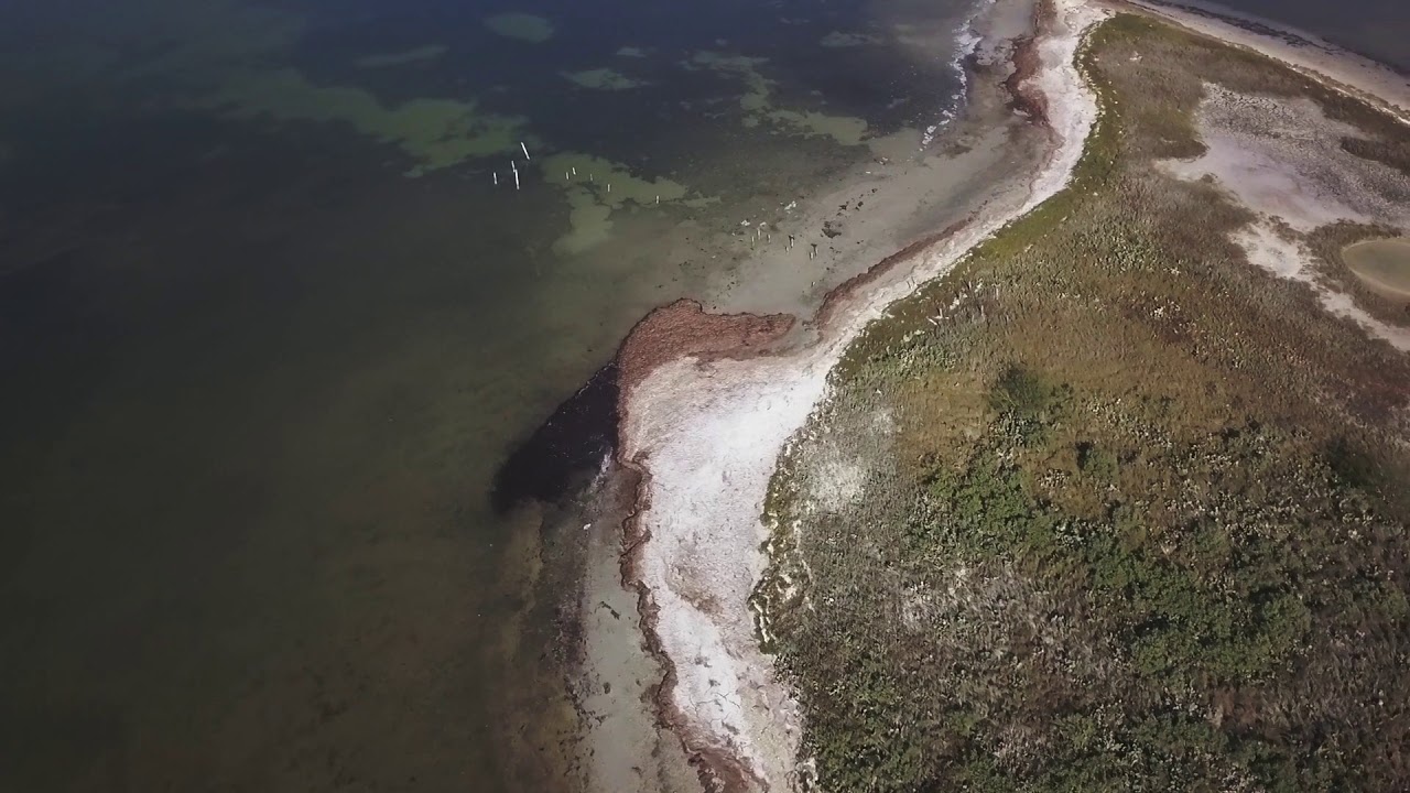 Finding Fish with A DRONE