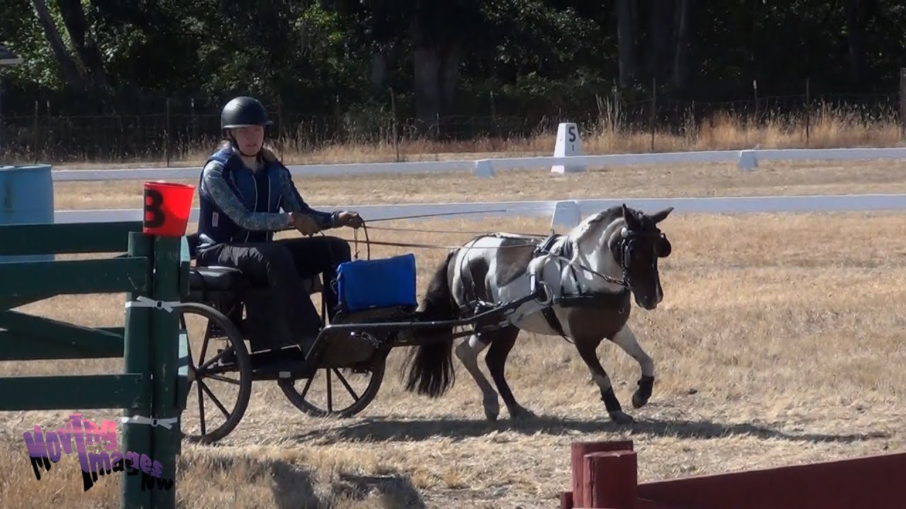 Clarissa Henry; EI CDE, August 2025
