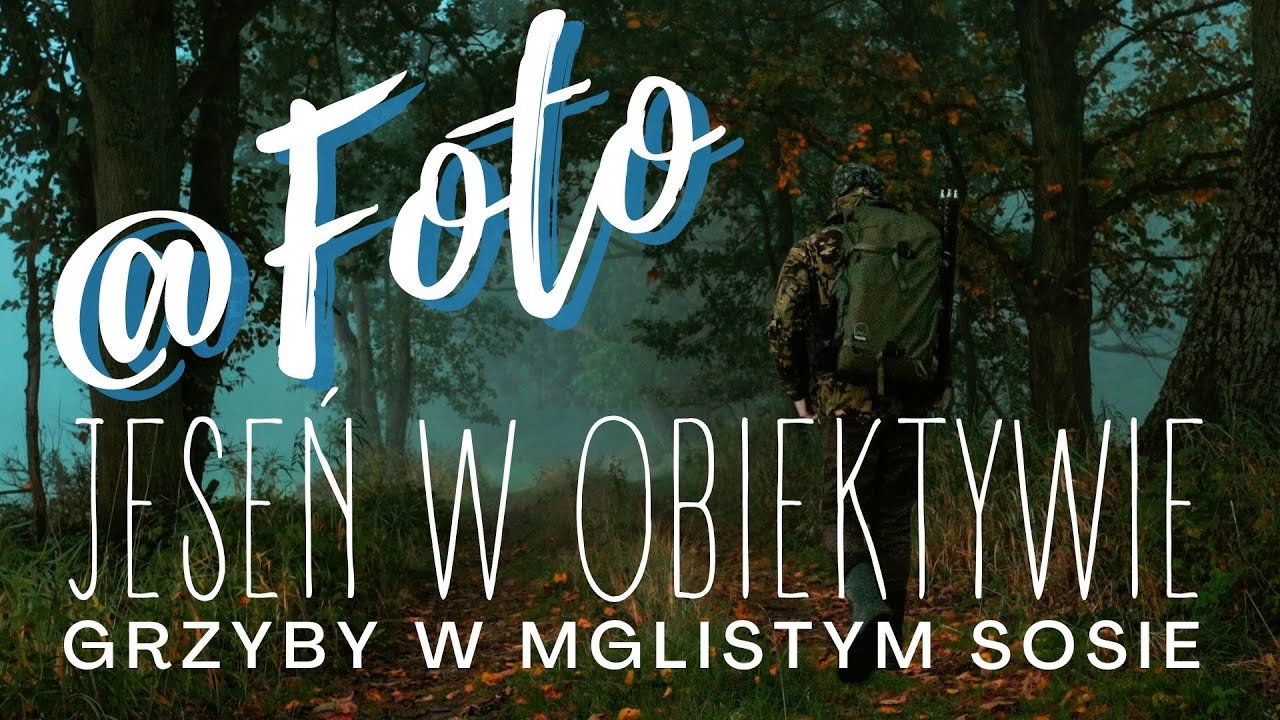 📷🍄Jak fotografować las - jesienny leśny krajobraz - grzyby na szeroko 🍴