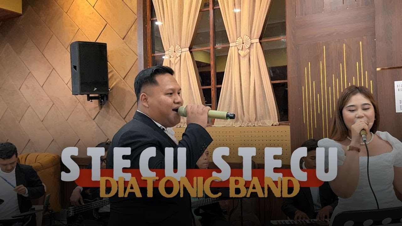 Stecu Stecu | Diatonic Band
