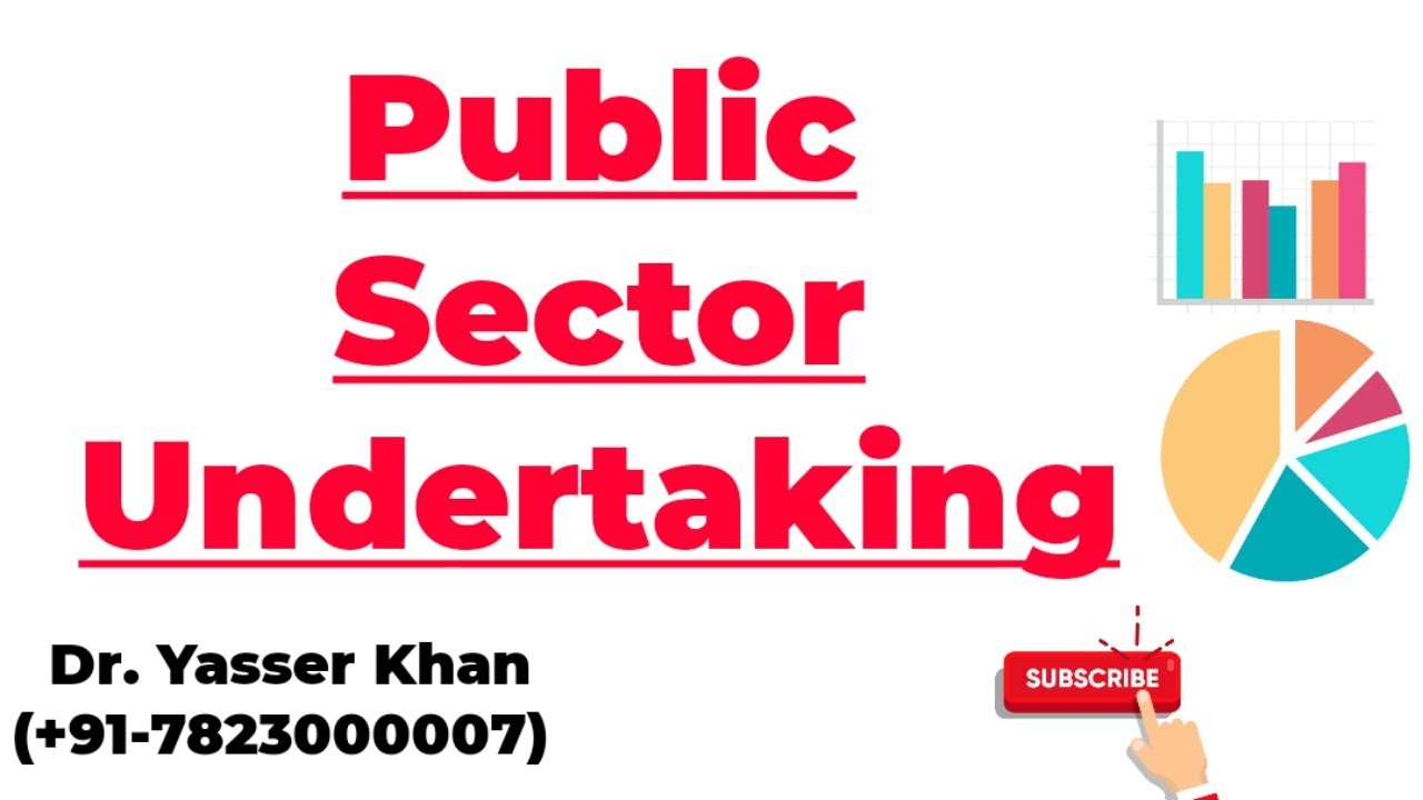 Public Sector Undertaking | PSU | Public Sector | Meaning Of Public Sector | Business Studies | CUET