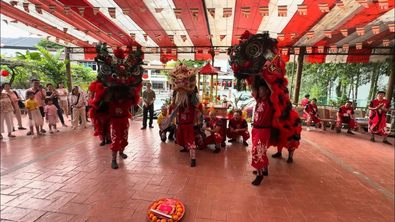 嵩嶺武術館 Shunlin Futsan Lion Dance Cai Qing Performance at SBYM Serangoon 1 March 2026