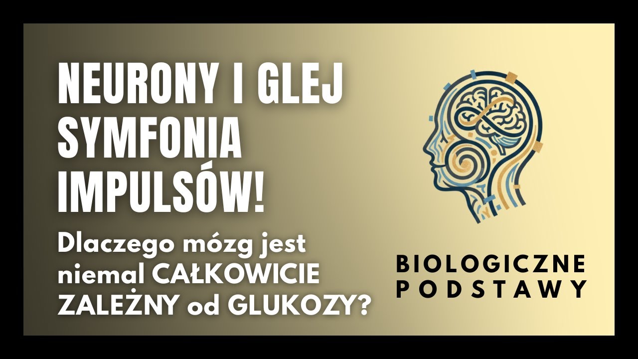 #20 Neurony i glej - symfonia impulsów