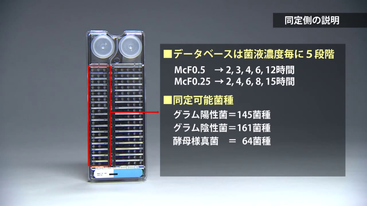 【BD Phoenix】日本ベクトン･ディッキンソン(株)