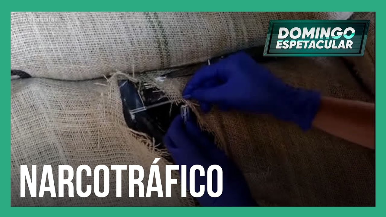 PF descobre que contêineres levavam drogas para a Europa junto com alimentos