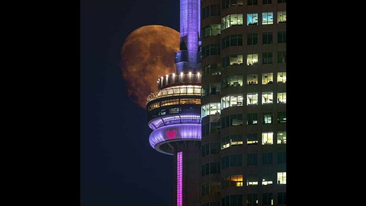 [FREE] tana x sofaygo type beat - 