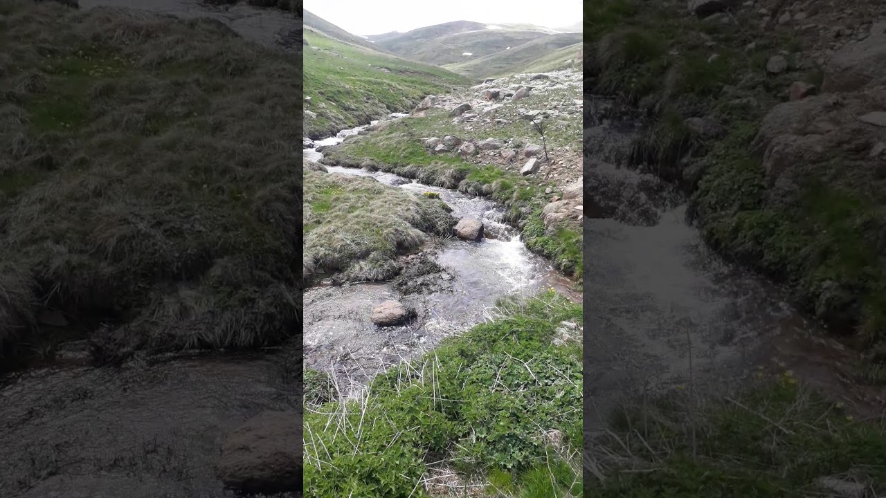 Sivas suşehri köse dağı doğal ala balık işte bu suda yetisiyor