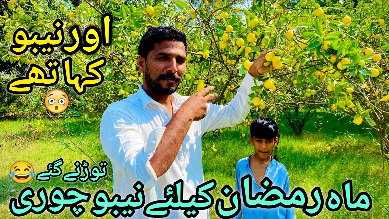 Mahe Ramadan ke ly Nibo Chori Torne gy 😂 || Nibo kha pr the 😱 || Nibo Walo ne Pakr lya 😳