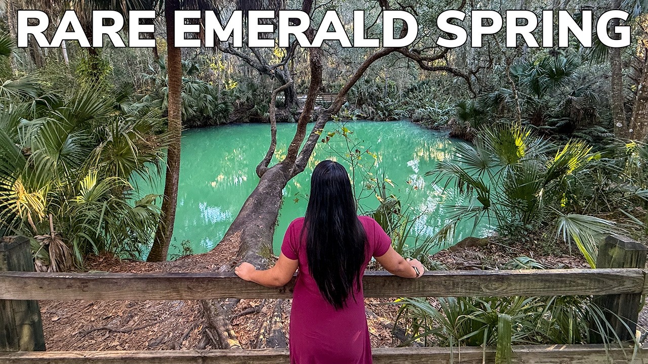 Visiting One of Florida’s Rare Emerald Springs 