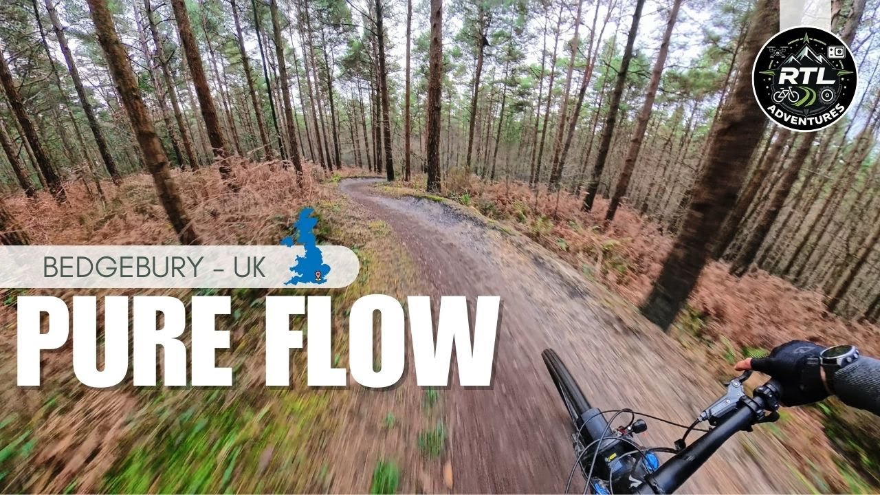 Through the Pines | MTB at Bedgebury Forest