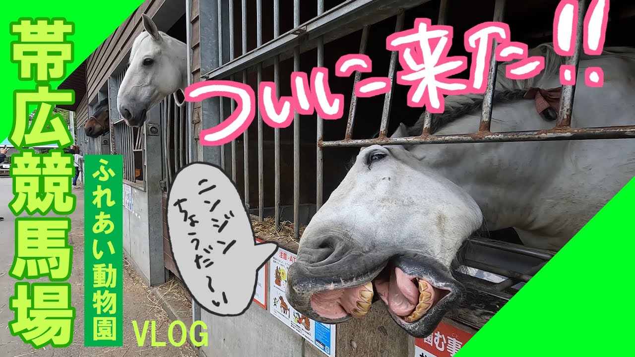 【帯広観光】ばんえい競馬 ふれあい動物園VLOG