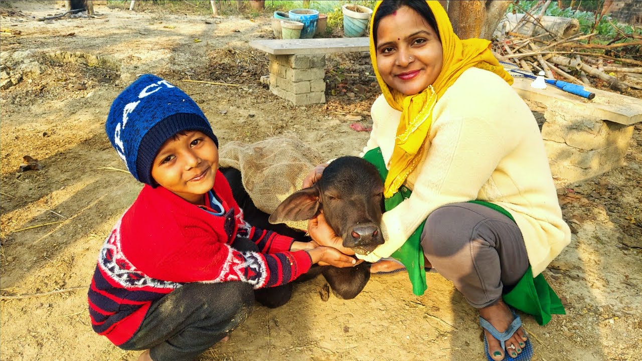🤗हमारे घर आया एक नया 🐂मेहमान😍 कितने महीनों से था इसका बेसब्री से इंतज़ार आखिर वो घड़ी आही गयी😍