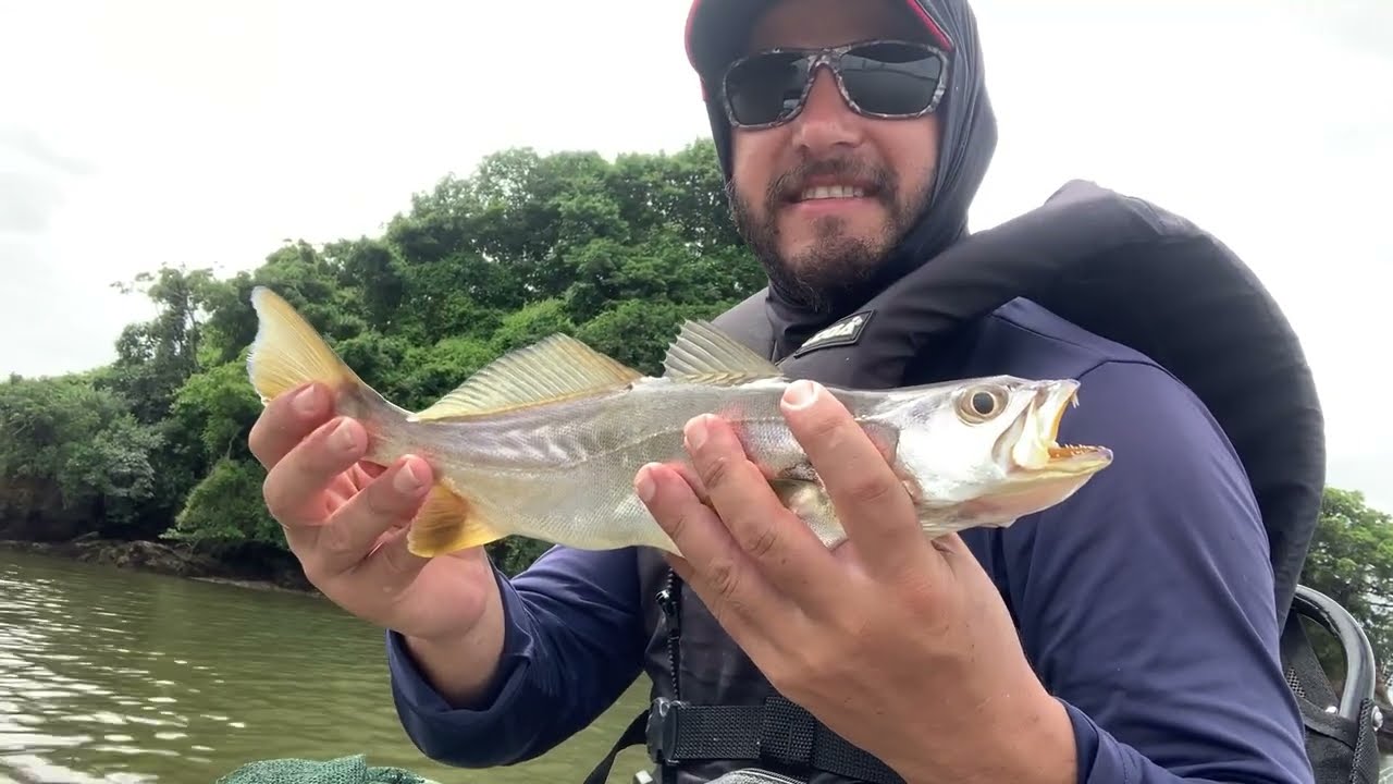 Pescaria de Pescada com Camarão VIVO Antonina - Litoral Paranaense