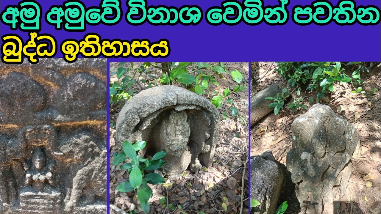 කනින් හෑම්ලගේ බණ අහලා බුදුහාමුදුරුවෝ ඉන්දියාවට විකුණන අයට  මේ ඓතිහාසික උරුමයන් රැක ගන්න වුවමනාවක් නැ