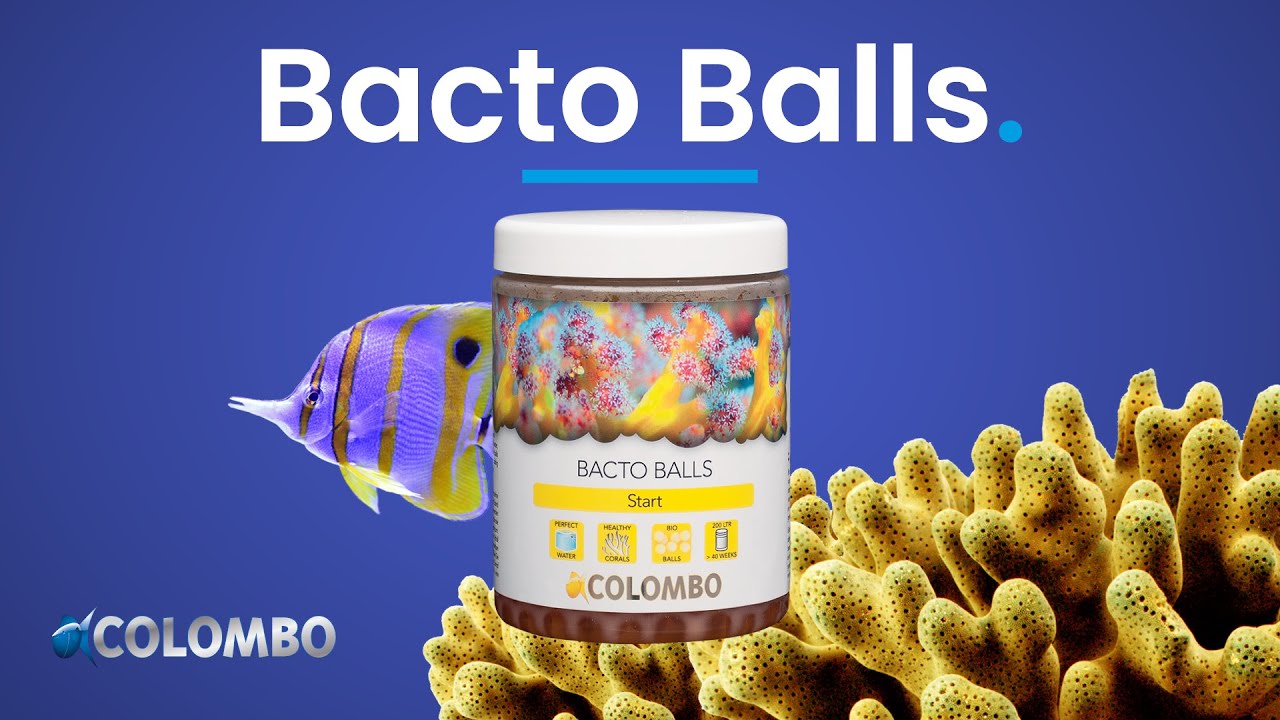 Colombo Marine Bacto Balls (DE)