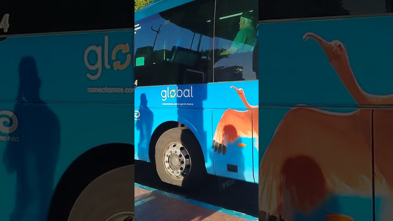 De jó is megbízható buszjárattal hazafelé jönni. Buszozz a Spanyoloknál, Gran Canaria 