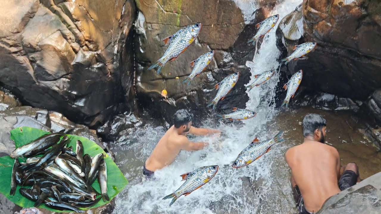 व्हाळात काळ्या कातळावर चढणारे चढणीचे मासे , कोकणातील मासेमारी | fishing in kokan  @TejaGurav