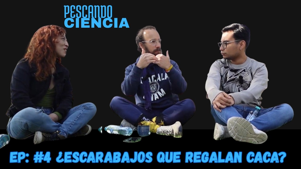 Escarabajos peloteros. | Renato Portela Salomao #PescandoCiencia. EP #4