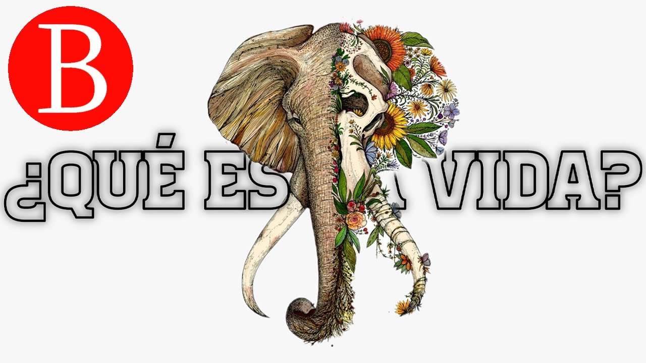 ¿Qué es la vida? ¿Qué es la muerte? | Biología Desde Cero