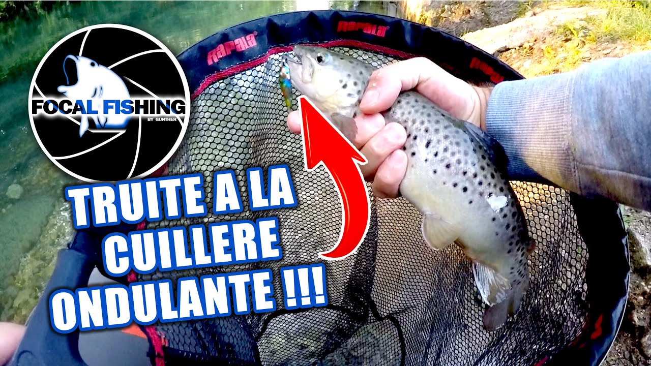Truite &agrave; la cuill&egrave;re ondulante!