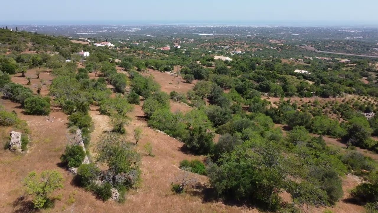 Terreno com ruína | Estoi | Algarve | Alcaria Branca