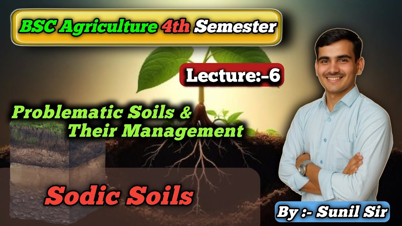 Sodic Soils क्या होती है? / Sodic Soil Characteristics, Effects & Management / Problematic Soils