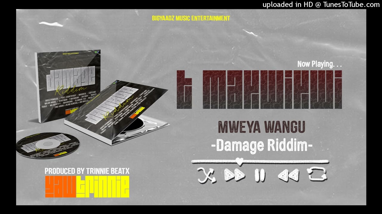 09. T Makwikwi - Mweya wangu (DAMAGE RIDDIM FEB. 2026)