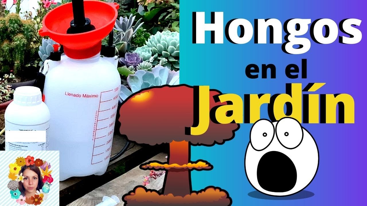 ¡Peligro! Hongos en tu Jardín - Secreto Mágico para Elimnar los Hongos Efectivamente