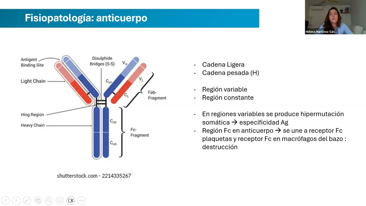 Bases de autoinmunidad plaquetaria
