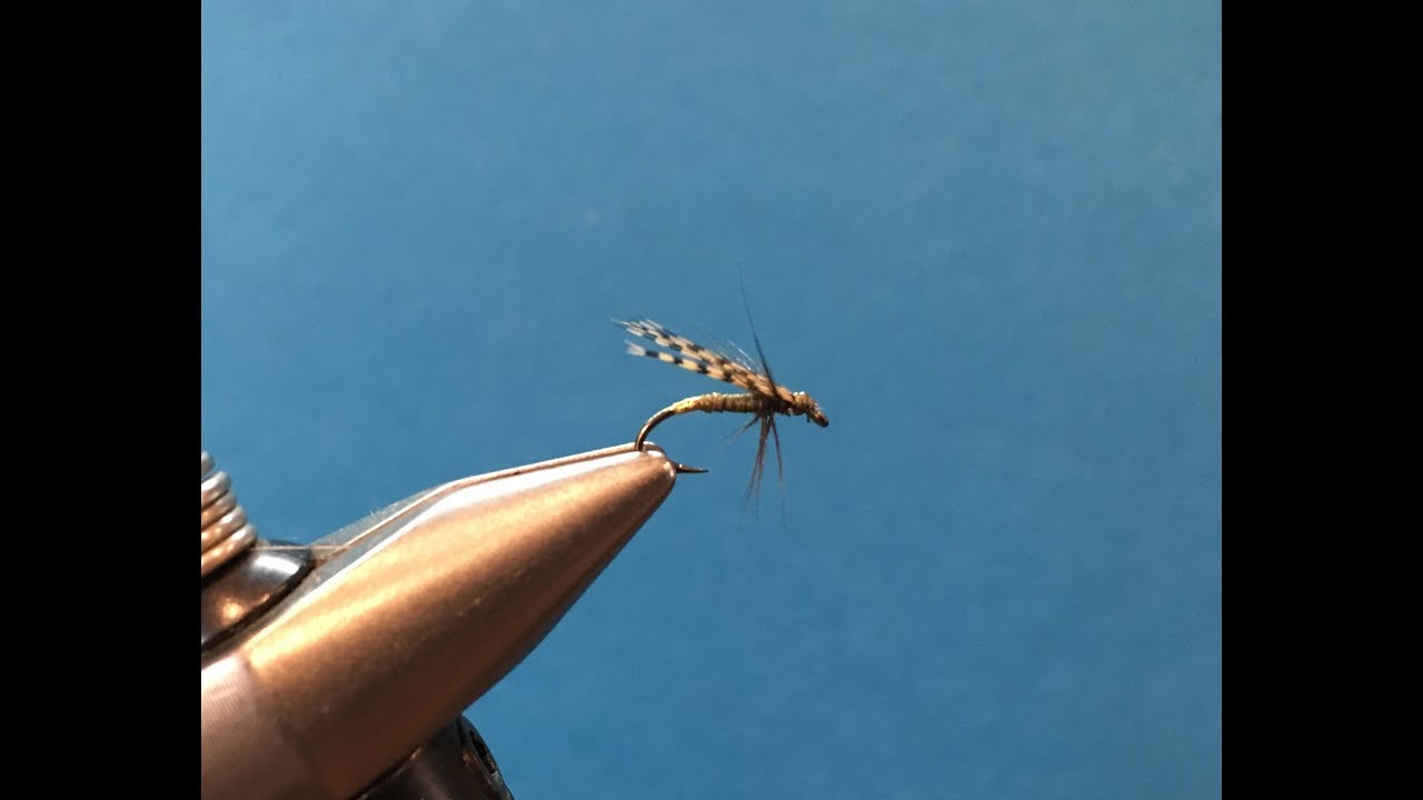 Tying The Cow Dung Variant Wet