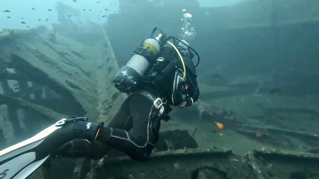 Madeira diving - Pronto wreck - 18.09.23