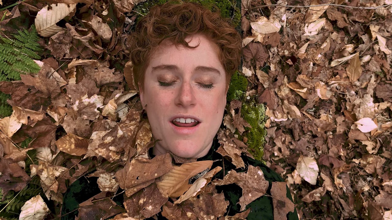ES Wex -- All The Leaves (Batya Levine cover)