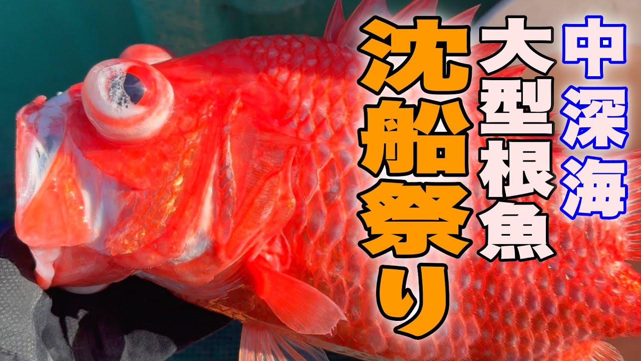 《和歌山・丸十丸 》【大型根魚連発！】根掛かり上等！これが噂の沈船祭りだ！中深海根魚五目便2025 2 23沈船根魚五目