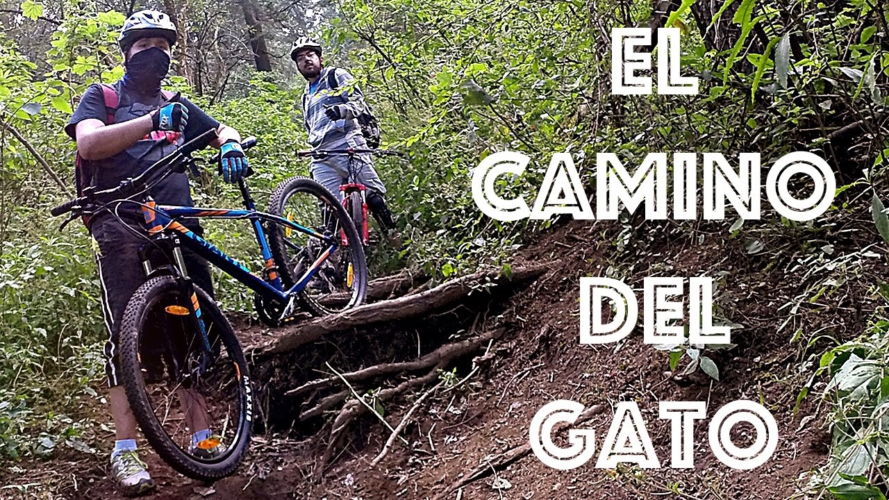 Ciclismo de montaña - Ajusco - Descendiendo por el camino del Gato