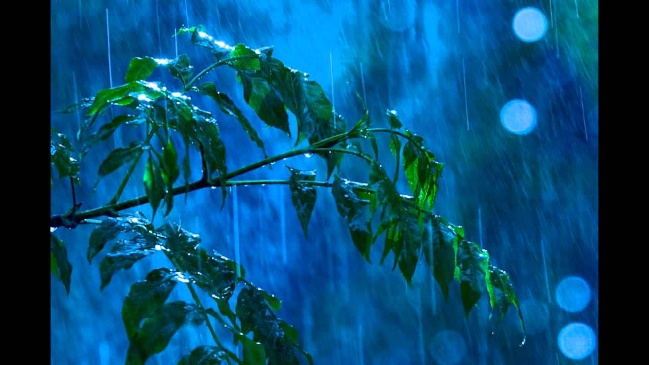 Tony Igy- Summer Rain (Original mix)